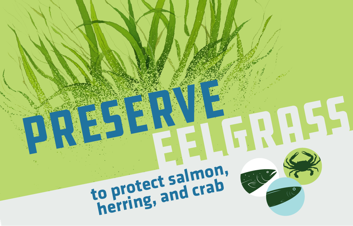 Preserve Eelgrass Banner