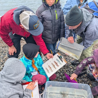 Beach Seines with Schools