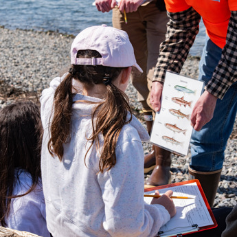 Beach Seines with Schools